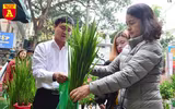 Lúa trổ đòng đắt khách ở chợ hoa Hàng Lược